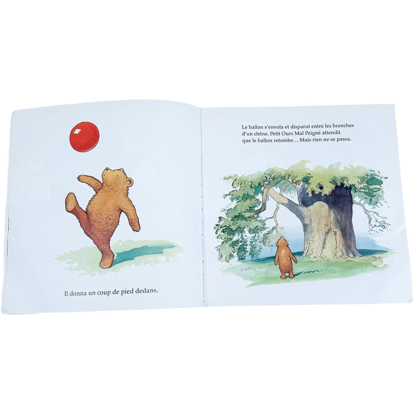 Livre (Histoires) "Petit ours mal peigné et le ballon rouge" de seconde main pour enfant à partir de 3 ans - Vue 1